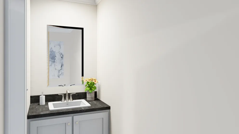 The palmetto mod bathroom home features